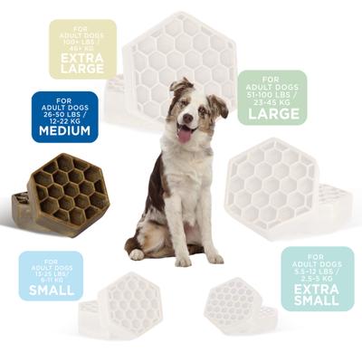 Galletas dentales para perros Chicken Flossing, tamaño mediano, 30 unidades