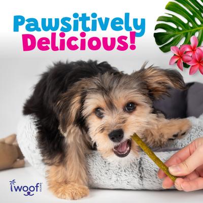 Adult Kalua Pork Sticks with Pineapple Natural Dog Chew Treats, 13.25-oz bag, 50 count