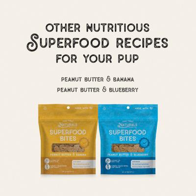 Peanut Butter & Blueberry Superfood Bites Dog Treats, 8-oz bag