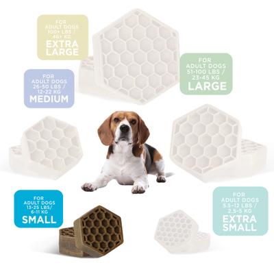 Fish & Egg Small Dental Dog Treats, 12-oz bag, 21 count