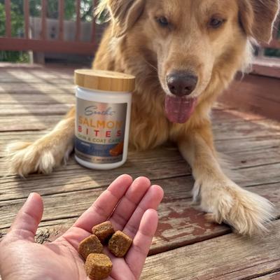 Soothe Salmon Bites Skin & Coat Supplement for Dogs, 120 count