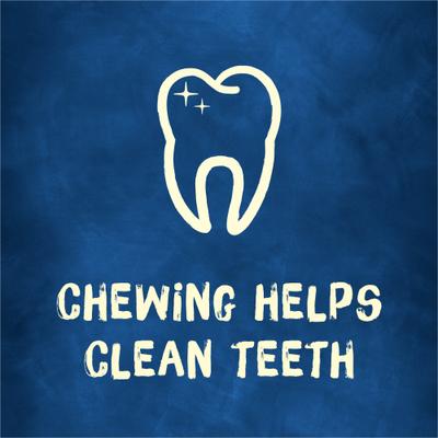 Golosinas masticables de larga duración con sabor a mantequilla de maní para perros adultos pequeños y medianos, bolsa de 6 unidades