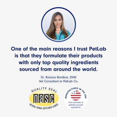 Mobility Pro Joint Support Oil Supplement for Dogs, 5-fl oz