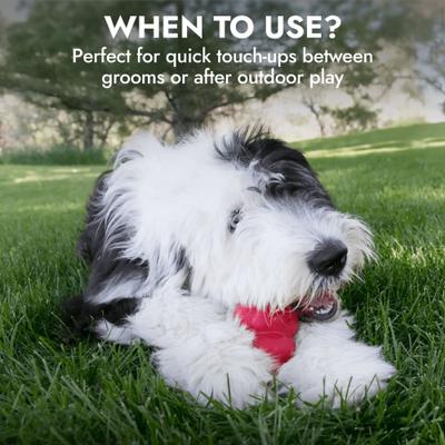 Leave-In Waterless Dog Shampoo, 8-oz bottle