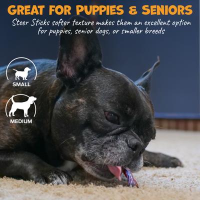 Thick Beef Steer Bully Sticks Natural Dog Chews, 5 to 6-in, 12 count