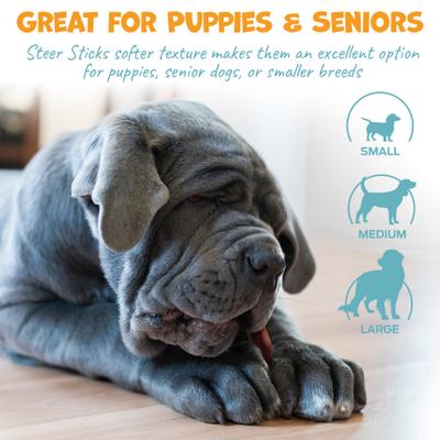 Standard Beef Steer Sticks Natural Dog Chews, 11 to 12-in, 10 count