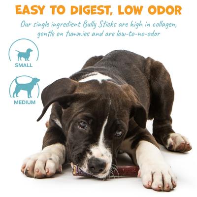 Standard Beef Bully Sticks Natural Dog Chews, 6-in, 12 count