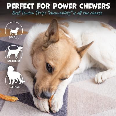 Beef Tendon Strips Natural Dog Chews, 7 to 10-in, 12 count