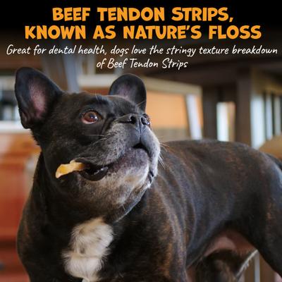Beef Tendon Strips Natural Dog Chews, 7 to 10-in, 12 count