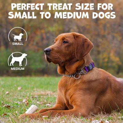 Whole Deer Antlers Natural Dog Chews, 4 to 5-in, 3 count