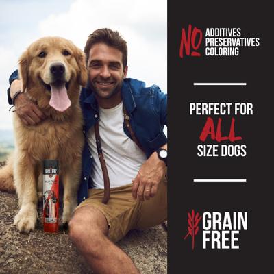 Thick Bully Sticks 12 Inch Dog Treats, 2 count