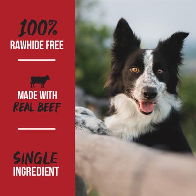 Thick Bully Sticks 12 Inch Dog Treats, 2 count