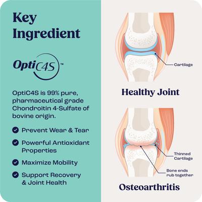 Liquid Joint & Mobility Supplement for Small Dogs, 0.27-fl oz