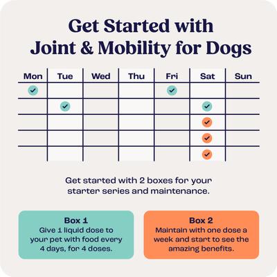 Liquid Joint & Mobility Supplement for Small Dogs, 0.27-fl oz