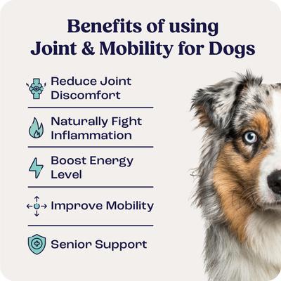 Liquid Joint & Mobility Supplement for Medium Dogs, 0.4-fl oz
