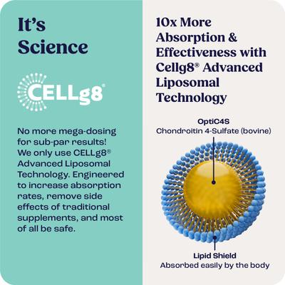 Liquid Joint & Mobility Supplement for Large Dogs, 0.54-fl oz