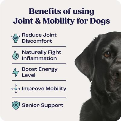 Liquid Joint & Mobility Supplement for Large Dogs, 0.54-fl oz