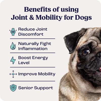 Liquid Joint & Mobility Supplement for Small Dogs, 0.27-fl oz