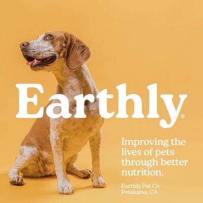 Smokey Beef Soft & Chewy Dog Treats, 30 count