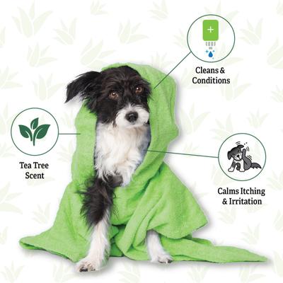 Tea Tree & Aloe Vera Dog Shampoo, 20-fl oz bottle