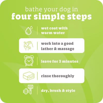 Tea Tree & Aloe Medicated Dog Shampoo, 1-gallon