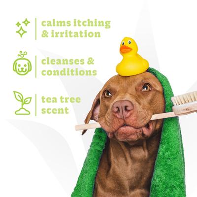 Tea Tree & Aloe Medicated Dog Shampoo, 1-gallon