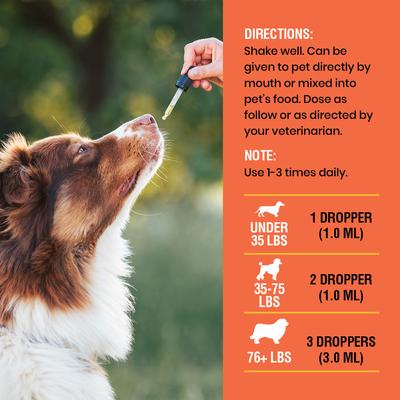 Vitamin C Bacon Flavored Liquid Immune Supplement for Dogs, 8-fl oz bottle