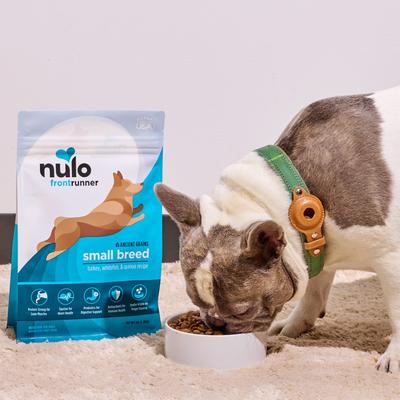 Nulo, Frontrunner Small Breed Ancient Grains, Pavo + Pescado Blanco + Quinoa, Perros de Raza Pequeña, 2.27 / 6.35 kg