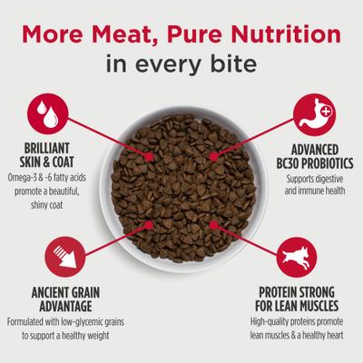 Frontrunner Ancient Grains Turkey, Trout & Spelt Recipe High-Protein Adult Dry Dog Food, 5-lb bag