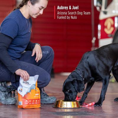 Frontrunner Ancient Grains Turkey, Trout & Spelt Recipe High-Protein Adult Dry Dog Food, 5-lb bag