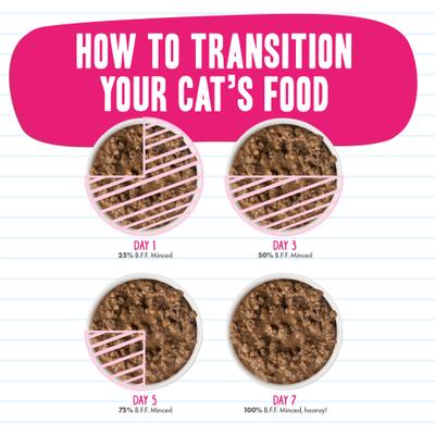 Big Feline Feast Variety Pack Canned Cat Food, 10-oz, case of 12