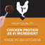 Complete Chicken Protein Dry Cat Food, 12.5-lb