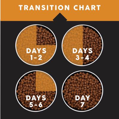 Complete Chicken Protein Dry Cat Food, 12.5-lb