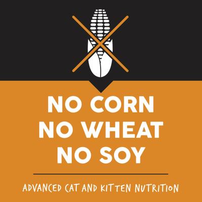 Complete Chicken Protein Dry Cat Food, 12.5-lb