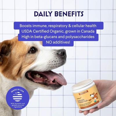 Superhero Organic Turkey Tail Mushroom Powder Supplement for Dogs, 2.12-oz jar