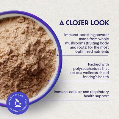 Superhero Organic Turkey Tail Mushroom Powder Supplement for Dogs, 2.12-oz jar