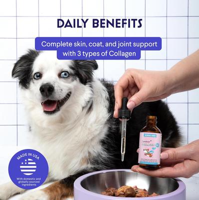 Superhero Collagen 3X Liquid Supplement for Dogs, 4-fl oz bottle