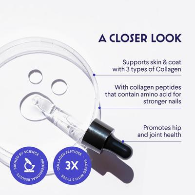 Superhero Collagen 3X Liquid Supplement for Dogs, 4-fl oz bottle