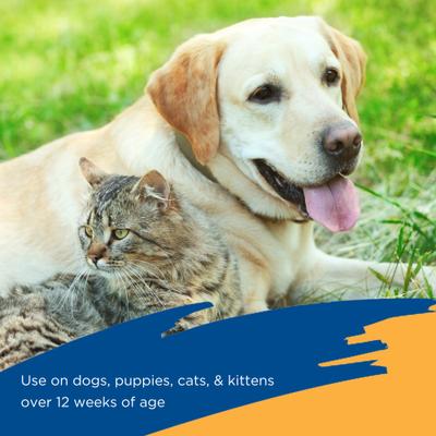 Flea & Tick Spray for Dogs, Cats, Puppies & Kittens, 16-fl oz