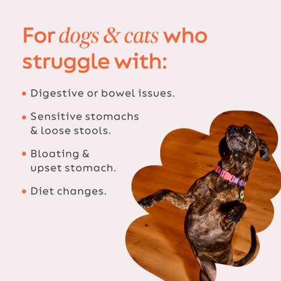 ¡Reafirma tu salud! Suplemento digestivo en polvo de calabaza para perros y gatos, bolsa de 28 g