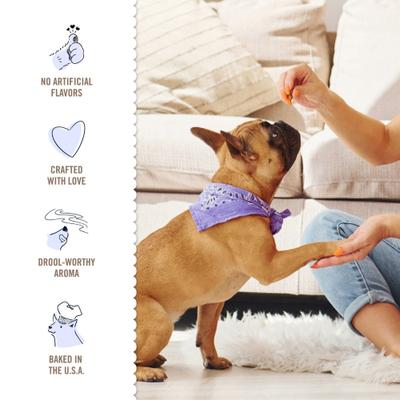 Classic Oatmeal Cookie Dog Treats, 24-oz bag