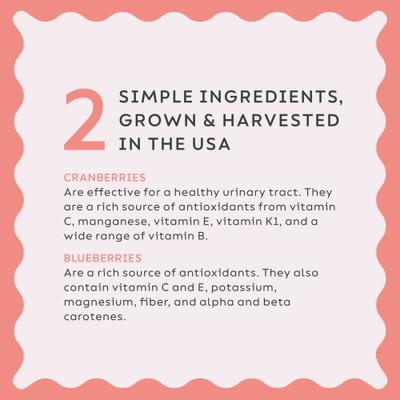 Berry Cranberry & Wild Blueberry Urinary Tract Dog Supplement, 2.64-oz jar