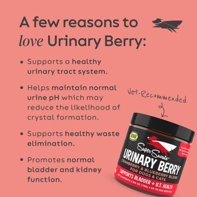 Berry Cranberry & Wild Blueberry Urinary Tract Dog Supplement, 2.64-oz jar