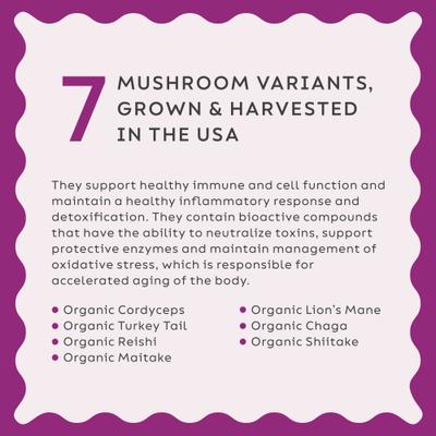 Super Shrooms Organic Super 7 Medicinal Mushroom Blend Dog Immunity Supplement, 2.64-oz jar