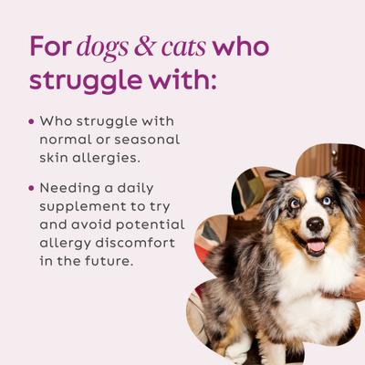 Super Shrooms Organic Super 7 Medicinal Mushroom Blend Dog Immunity Supplement, 2.64-oz jar