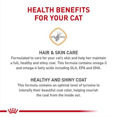 Feline Care Nutrition Hair & Skin Care Dry Cat Food, 3-lb bag
