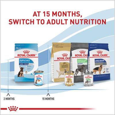 Size Health Nutrition Large Puppy Thin Slices in Gravy Wet Dog Food, 13-oz, case of 12