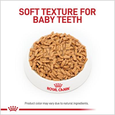 Size Health Nutrition Large Puppy Thin Slices in Gravy Wet Dog Food, 13-oz, case of 12