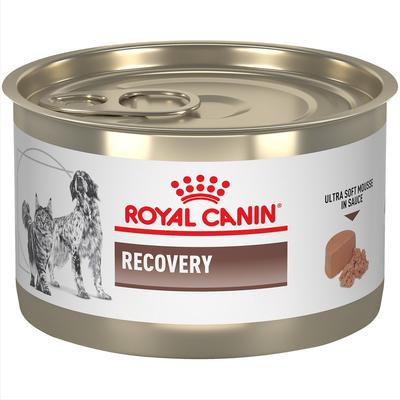 Recovery Ultra Soft Mousse in Sauce Wet Dog & Cat Food, 5.1-oz can, case of 24
