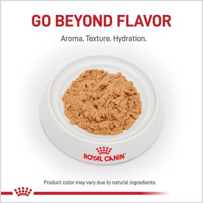 Recovery Ultra Soft Mousse in Sauce Wet Dog & Cat Food, 5.1-oz can, case of 24